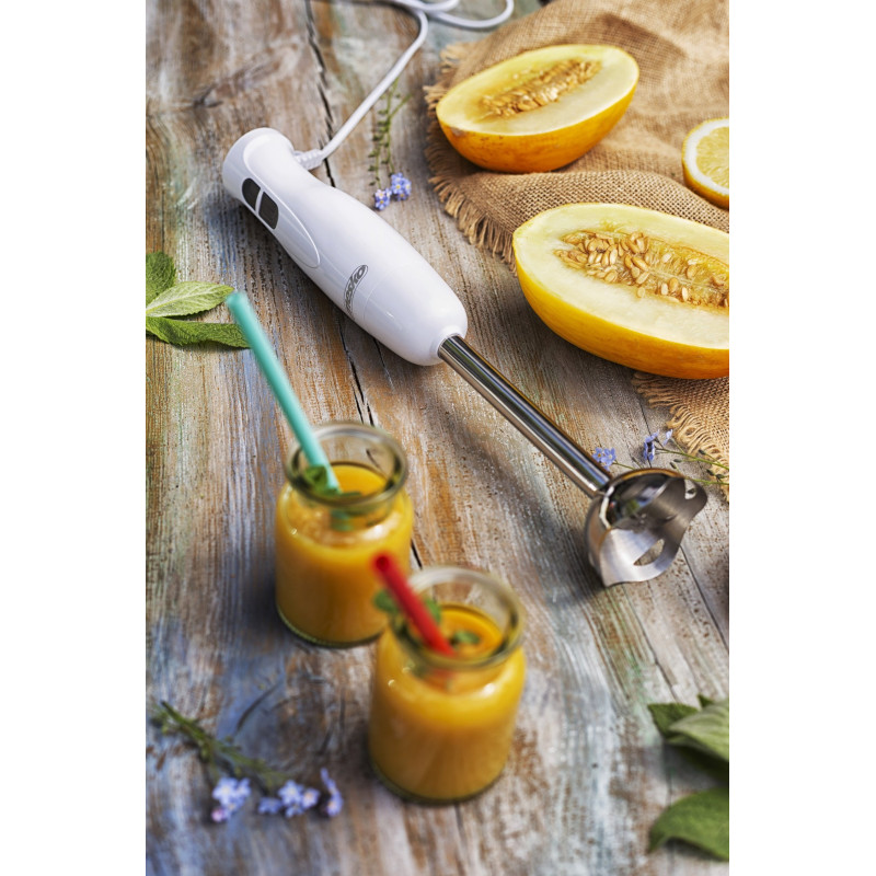 Блендер Mesko MS 4619