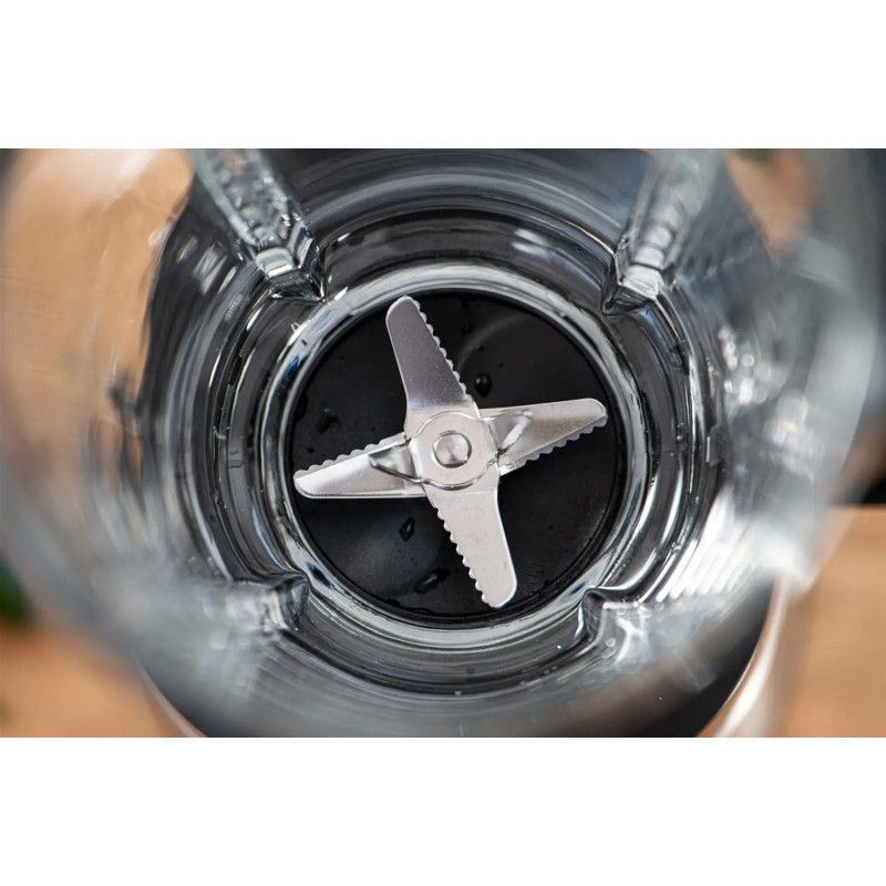 Блендер ZELMER ZSB4900