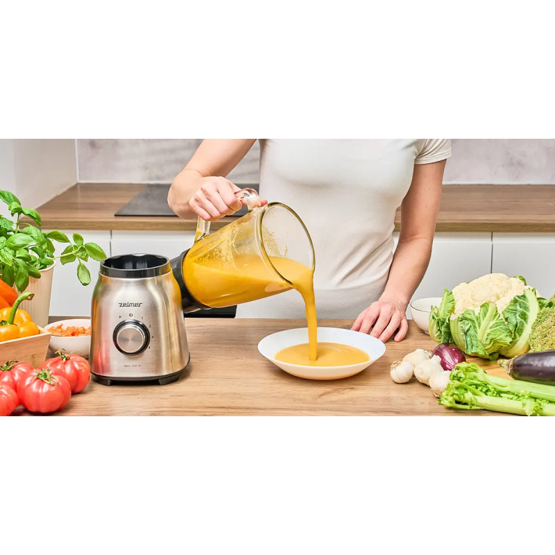 Блендер ZELMER ZSB4820