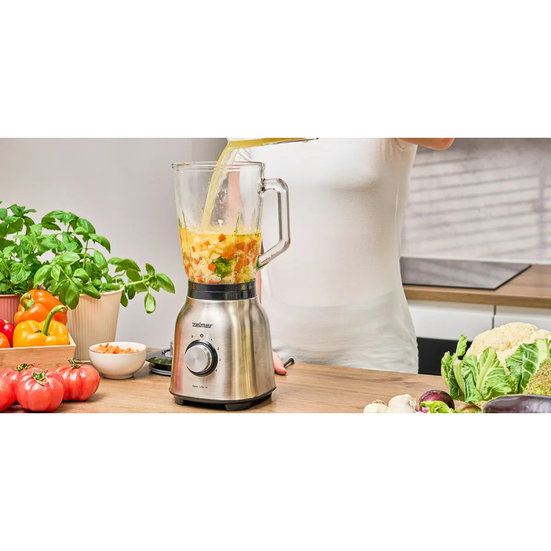 Блендер ZELMER ZSB4820