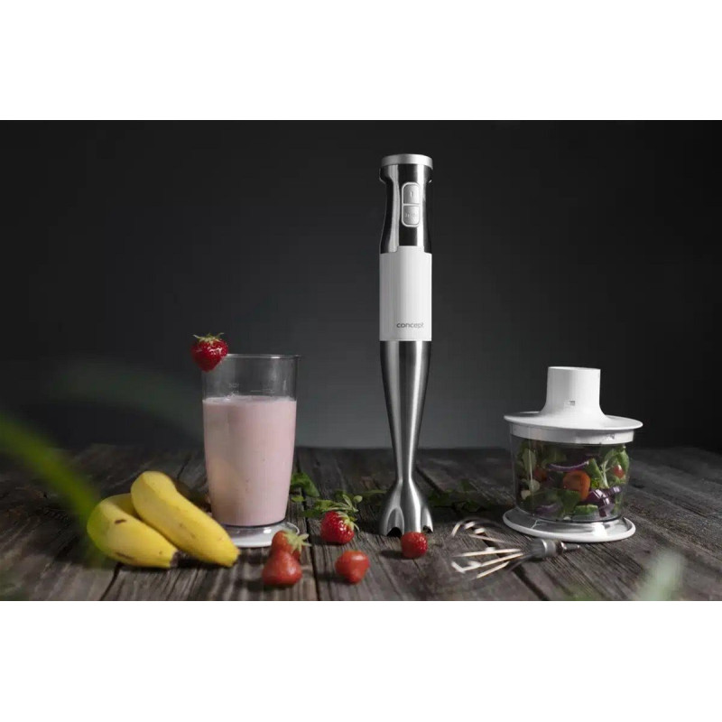 Блендер Concept TM4910