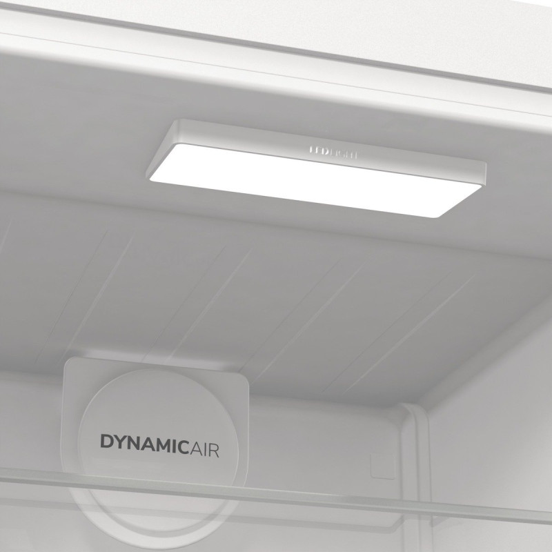 Холодильник Gorenje R619EAW6