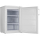 Морозильна камера Gorenje F 492 PW