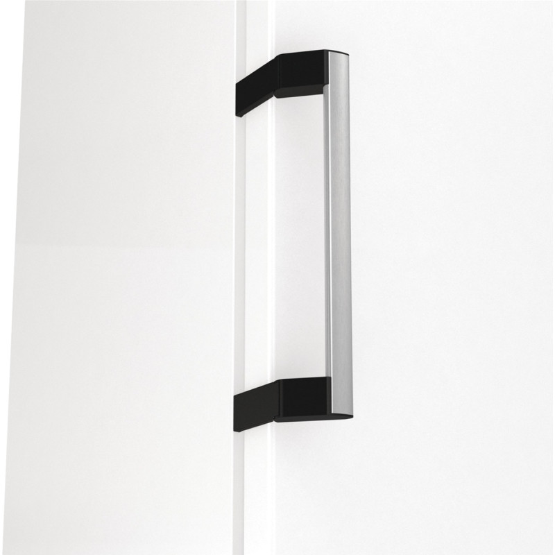 Морозильна камера GORENJE FN619EAW6