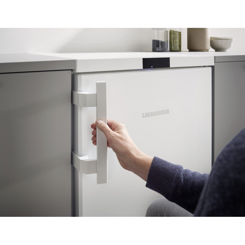 Морозильна камера Liebherr Fe 1404