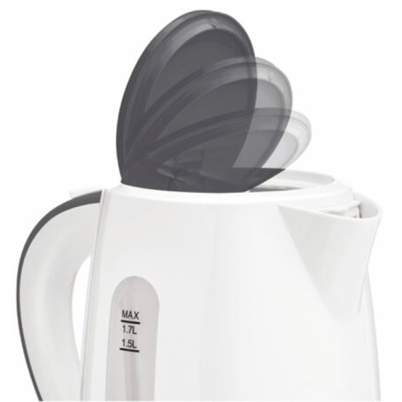 Чайник Zelmer ZCK7619