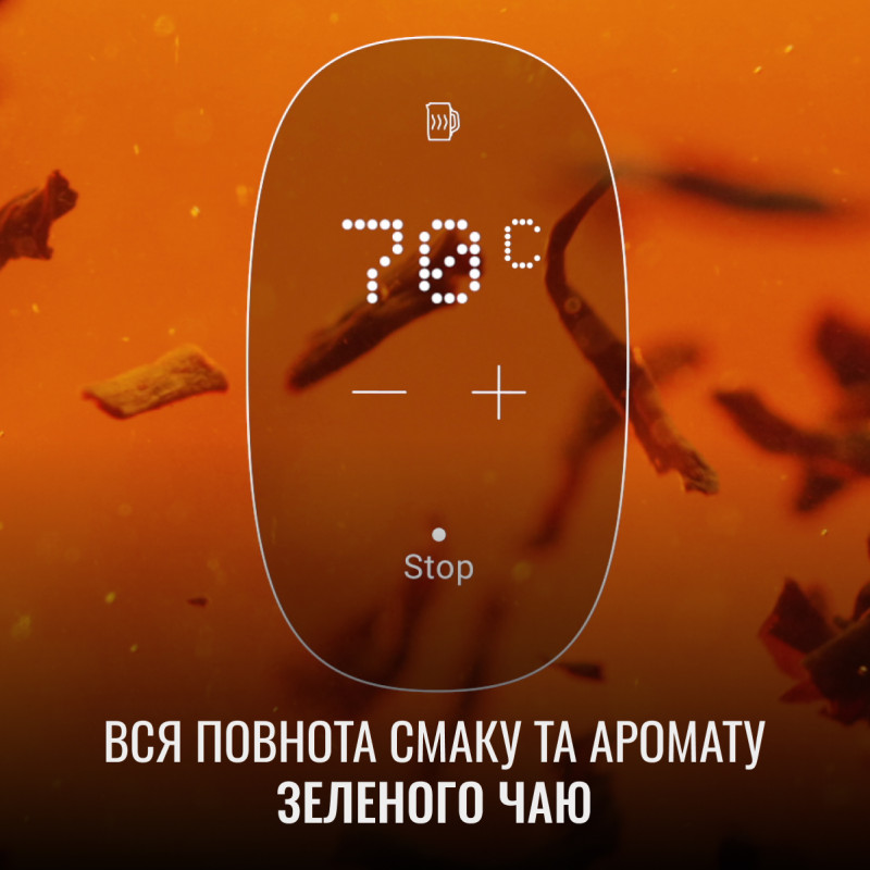 Електричний чайник Majestic Tefal KI883D10