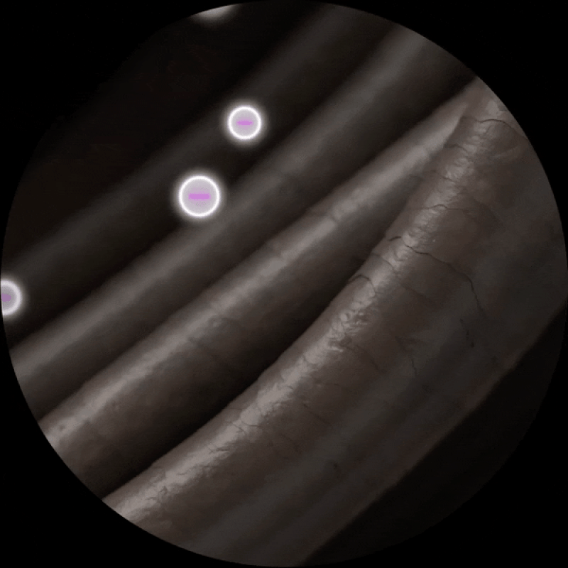 Фен Philips 5000 Series BHD538/30