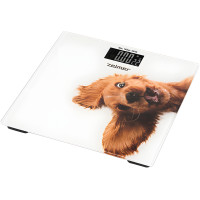 Ваги для підлоги Zelmer ZBS1010 Crazy dog