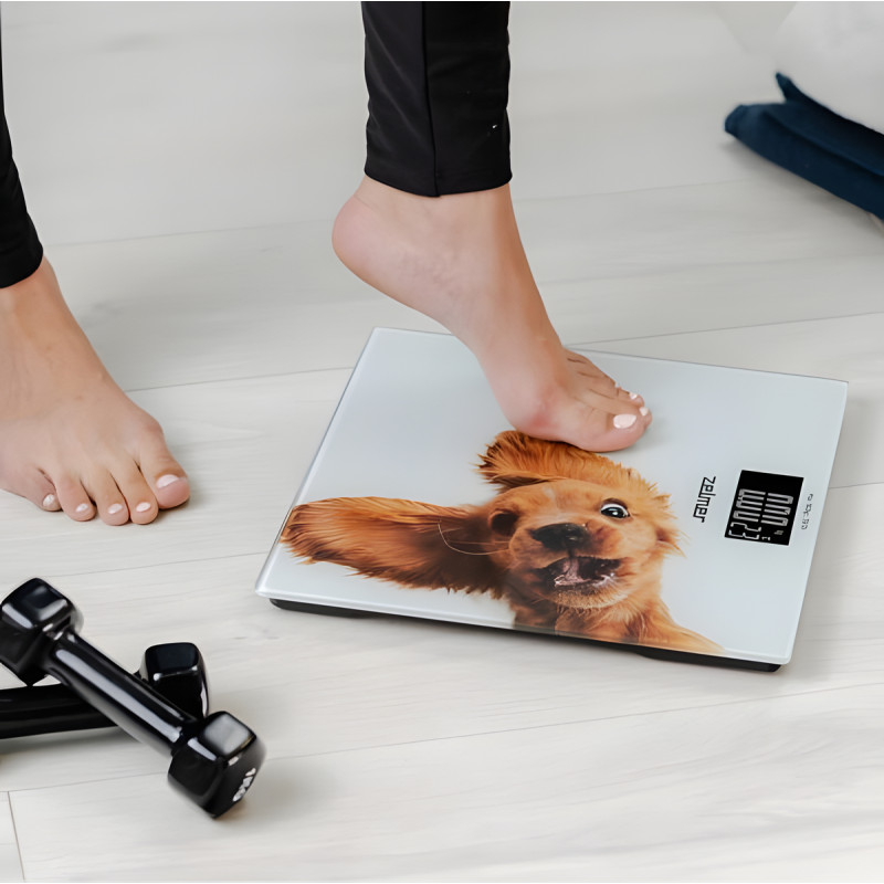 Ваги для підлоги Zelmer ZBS1010 Crazy dog