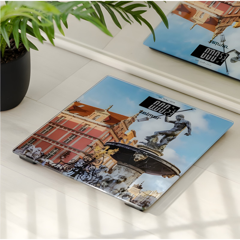 Ваги для підлоги Zelmer ZBS1011 Neptune