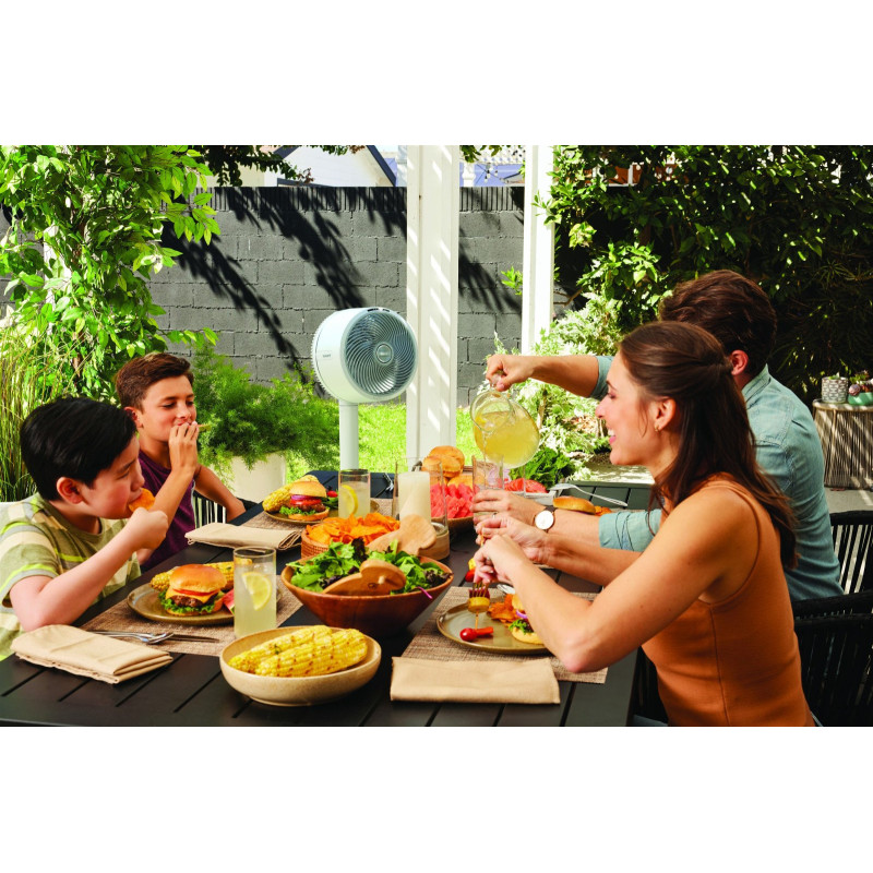 Вентилятор SHARK FlexBreeze (FA220EU)