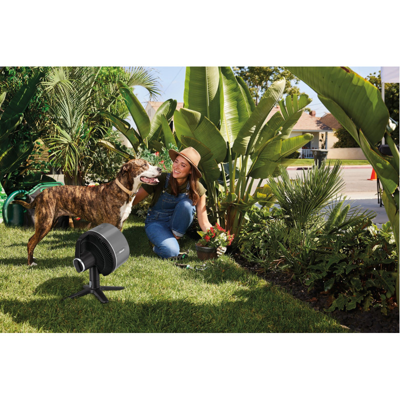 Вентилятор Shark FlexBreeze FA150EU