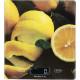 Ваги Ardesto SCK-893 LEMON