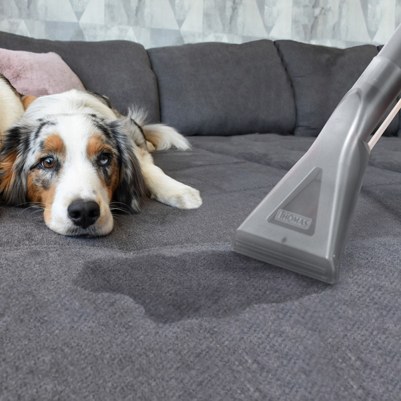 Пилосос Thomas Aqua FleckWasher (788121)