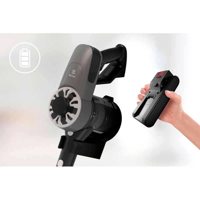 Пилосос Electrolux EP31CB21GP