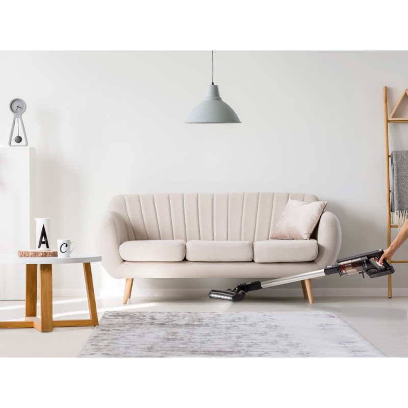 Пилосос Gorenje SVC252FMBK