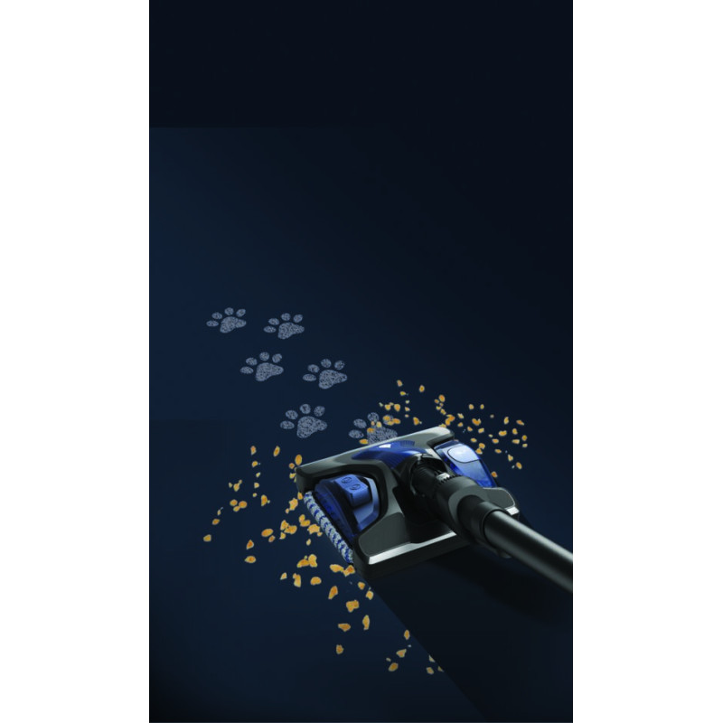 Пилосос Rowenta RH99G1WO