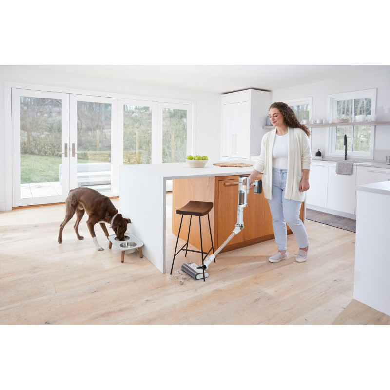 Hark виявляє Pro за допомогою автоматичної порожньої системи IW3612EU вакуумний очищувач