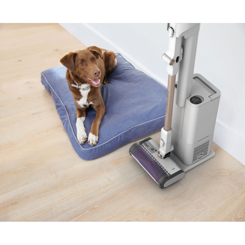 Hark виявляє Pro за допомогою автоматичної порожньої системи IW3612EU вакуумний очищувач