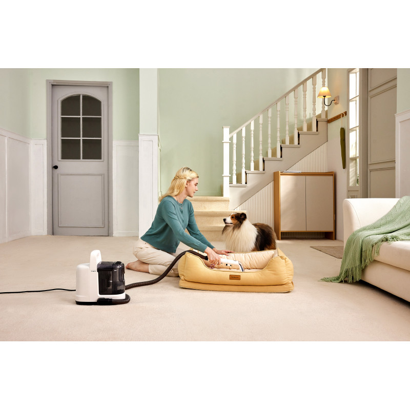 Пилосос Tineco iCarpet Spot (SC050300DE)