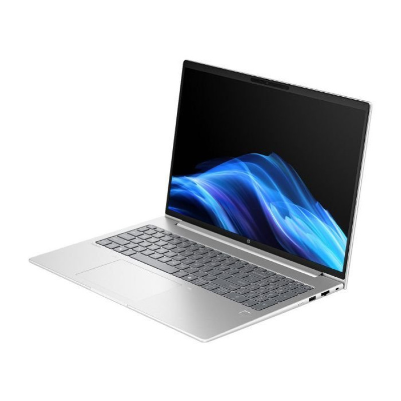 Ноутбук HP ProBook 4 G1a (AX7D4AV_V2)