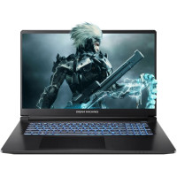 Ноутбук Dream Machines RT5060-17 (RT5060-17UA25)