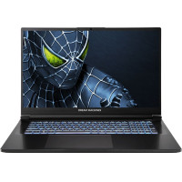 Ноутбук Dream Machines RG5050-17 (RG5050-17UA31)