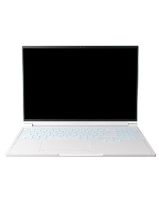 Ноутбук Thunderobot RS16 (RS16-I9139HX56E1Q240ARC)