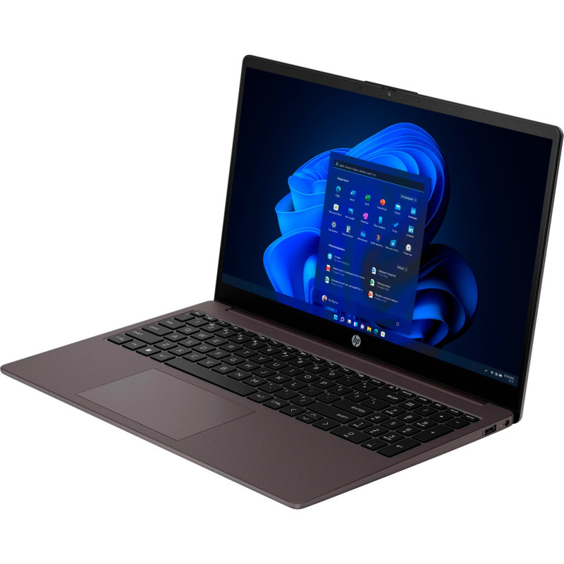 Ноутбук HP 255R G10 (D0DP6AT)