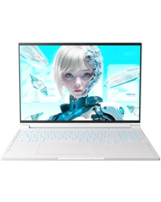 Ноутбук Thunderobot RS16 (RS16-i7136HX56C1Q180RC)