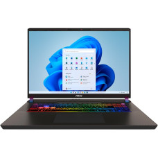 Ноутбук MSI Vector 17HXAI CU9-275HX (A2XWIG-043UA)