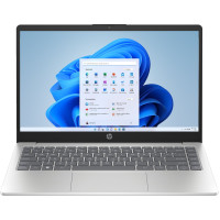 Ноутбук HP 14-EM0000ua (D16DLEA)