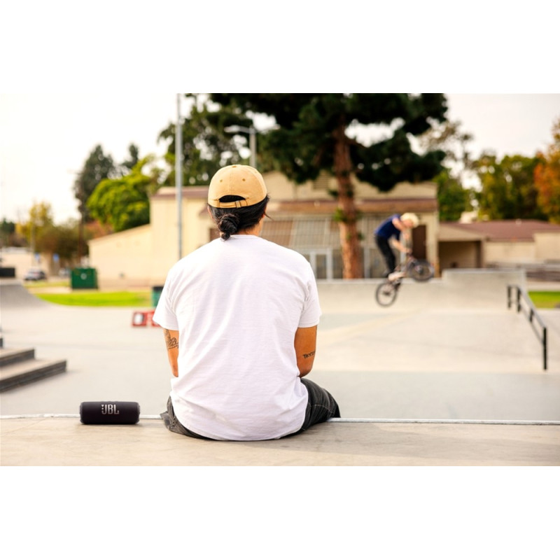 Акустична система JBL Flip 7 Black (JBLFLIP7BLK)