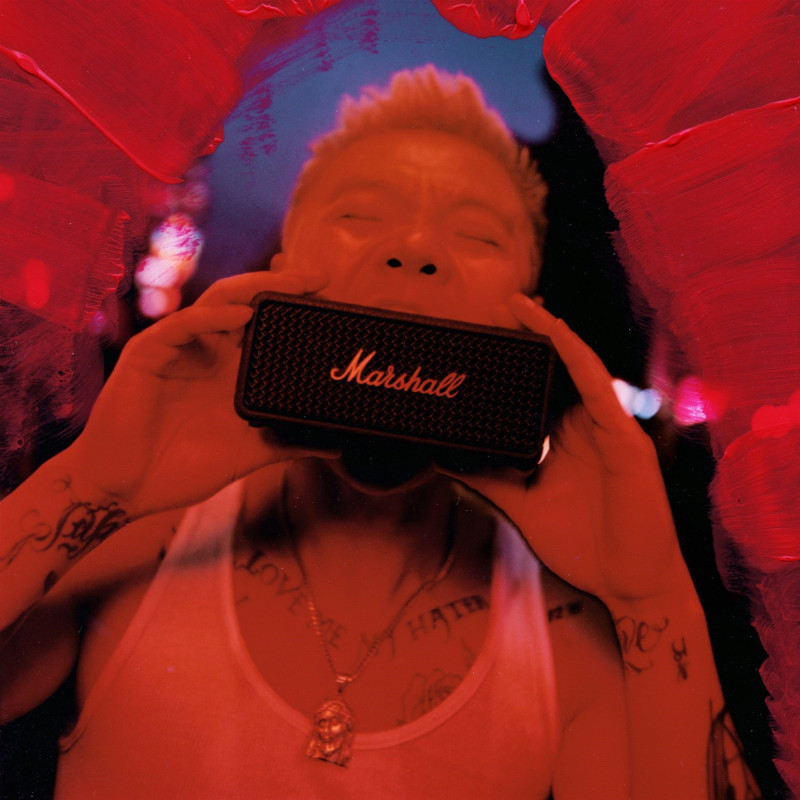 Акустична система Marshall Emberton III Sage (1007861)