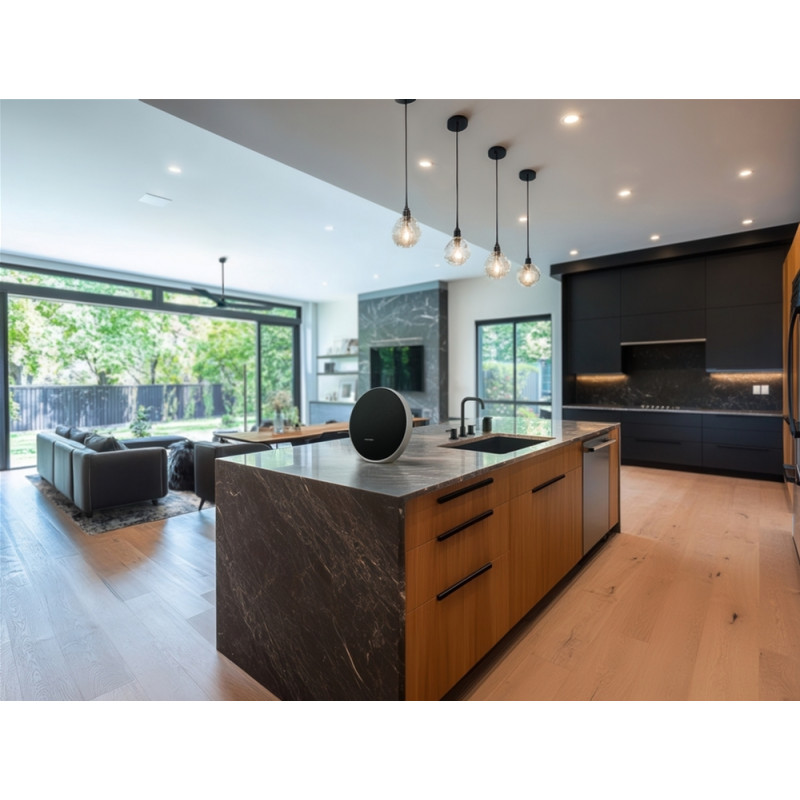 Акустична система Harman/Kardon Onyx Studio 9 Black (HKOS9BLKEP)