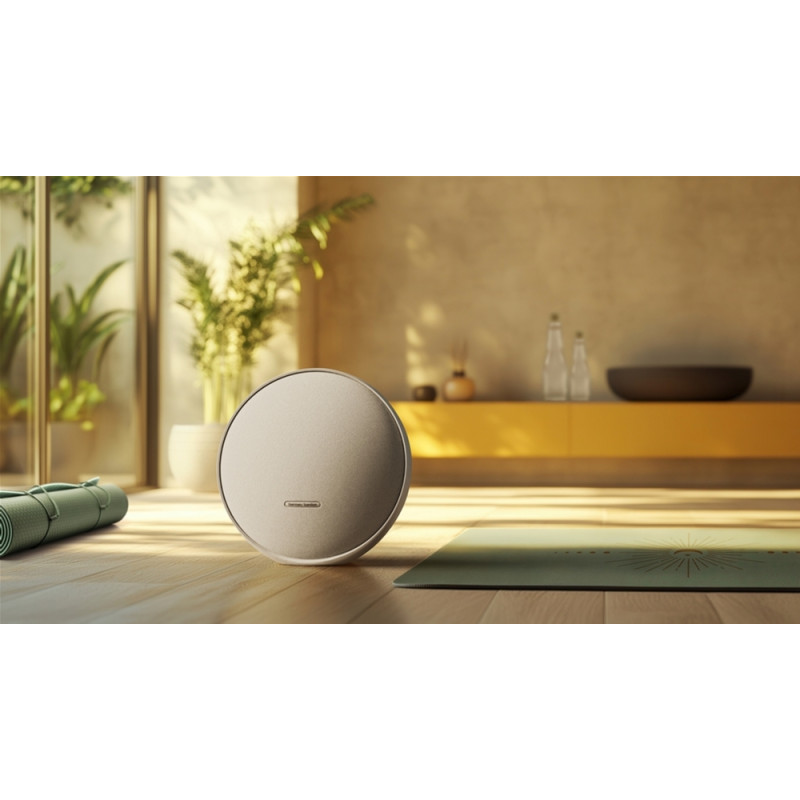 Акустична система Harman/Kardon Onyx Studio 9 Grey (HKOS9GRYEP)