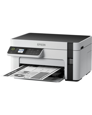Багатофункціональний пристрій Epson M2120 (C11CJ18404)