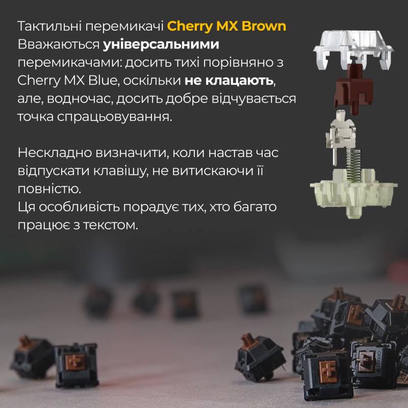 Клавіатура Ducky One 3 Mini Cherry MX Brown RGB Black UA (DKON2161ST-BUAPXCLAWSC1)