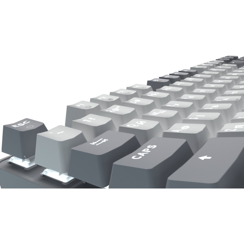 Клавіатура GamePro Genesis Metallic MK110G Outemu Red Switch USB UA Gray (MK110G)