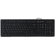 Клавіатура A4Tech FKS12 USB UA Black (4711421003155)