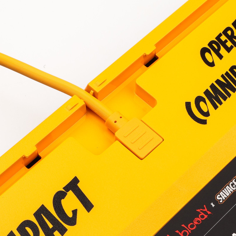 Клавіатура A4Tech Bloody AT87 USB Renegade