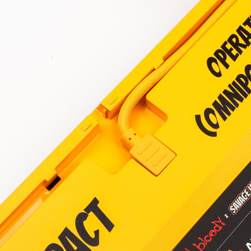 Клавіатура A4Tech Bloody AT87 USB Renegade