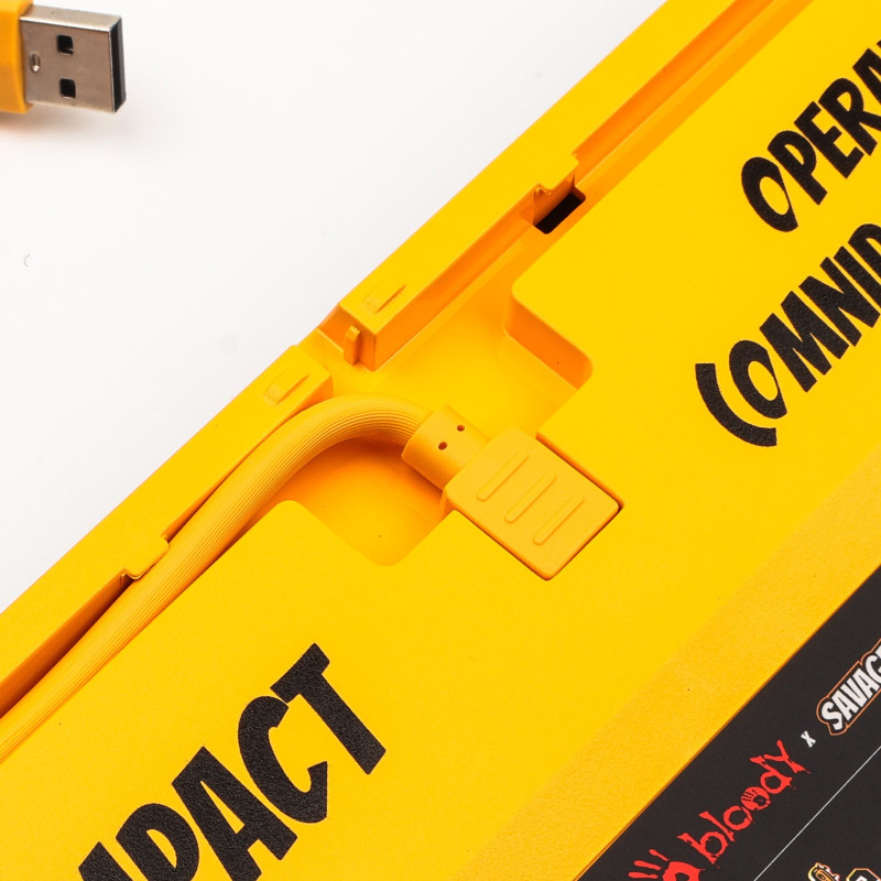 Клавіатура A4Tech Bloody AT87 USB Renegade