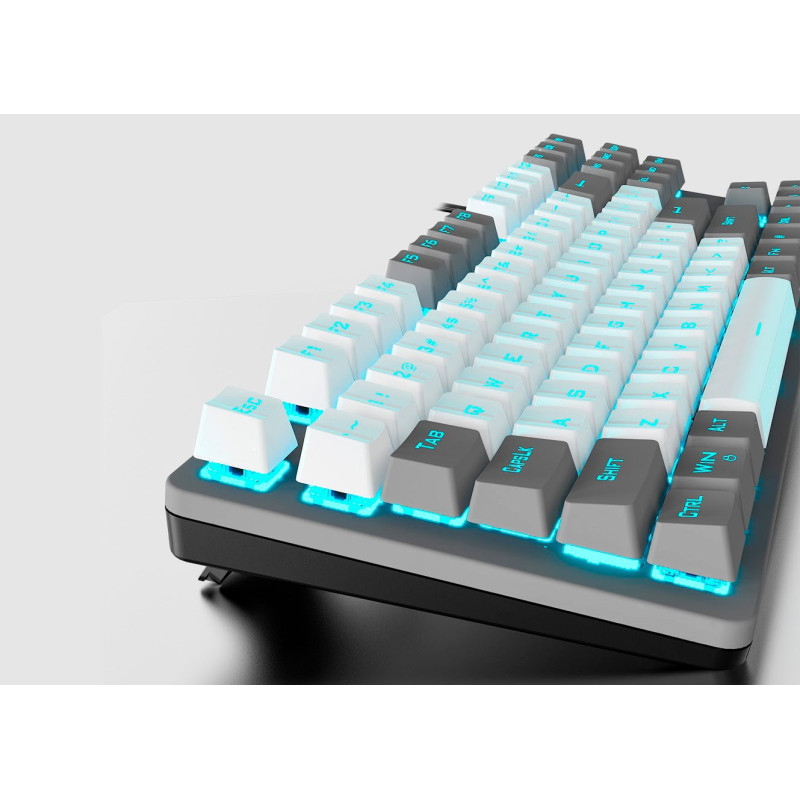 Клавіатура Aula Mechanical F3287 Grey/White keycap KRGD blue (6948391240954)