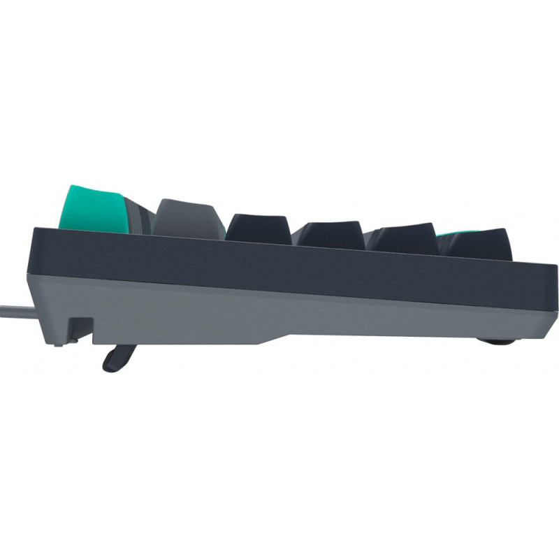 Клавіатура A4tech FS300 Fstyler Panda Rock Climbing (FS300 Panda Rock Climbing)