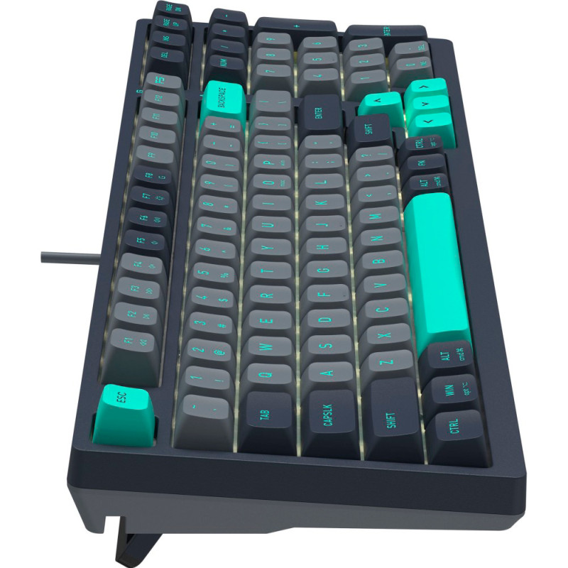 Клавіатура A4tech FS300 Fstyler Panda Rock Climbing (FS300 Panda Rock Climbing)