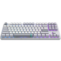 Клавіатура Dark Project ALU87 Daylight ABS RGB Mech G3MS Zircon White/Grey (DPKB_DAYLIGHT_87_ANSI_UA)