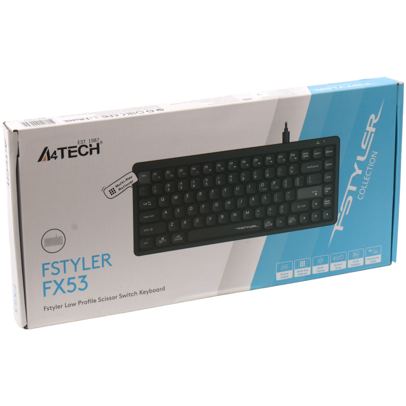 Клавіатура A4Tech FX53 USB UA Black (4711421002394)
