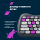 Комплект Canyon HSET-W6 Kitty Edition Wireless UA Violet (CNS-HSETW6VT)